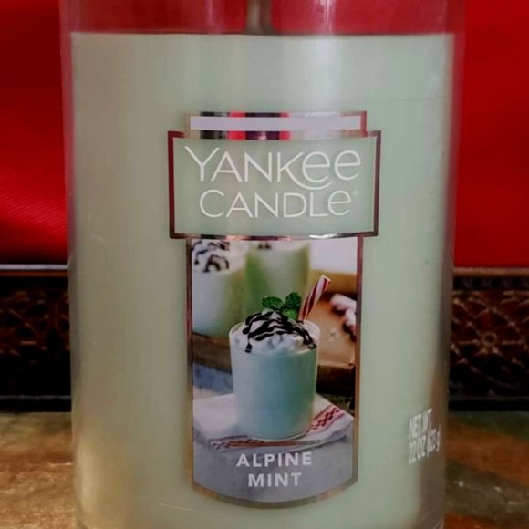 *RARE* Yankee Candle Alpine Mint 2 wick Candle